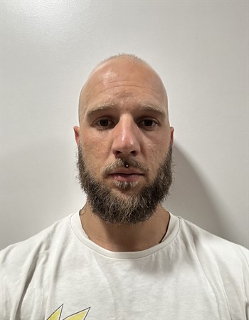 Profile picture of André Lopes e Silva